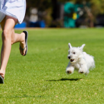 dog and woman running