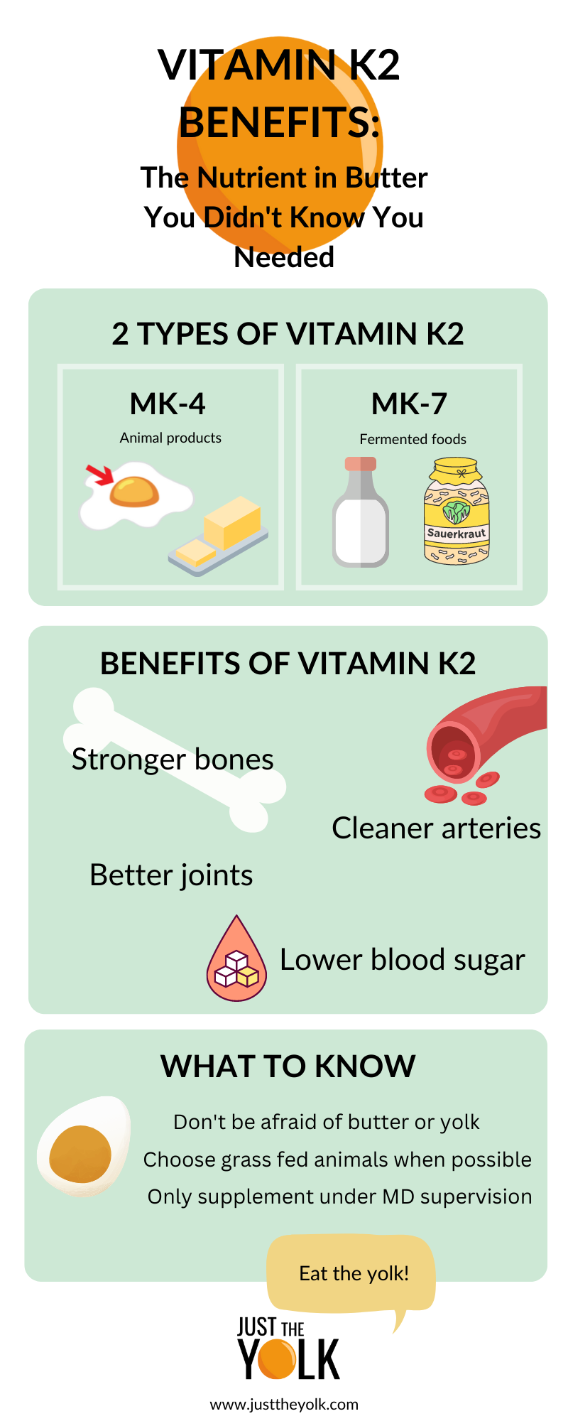 vitamin K2 infographic